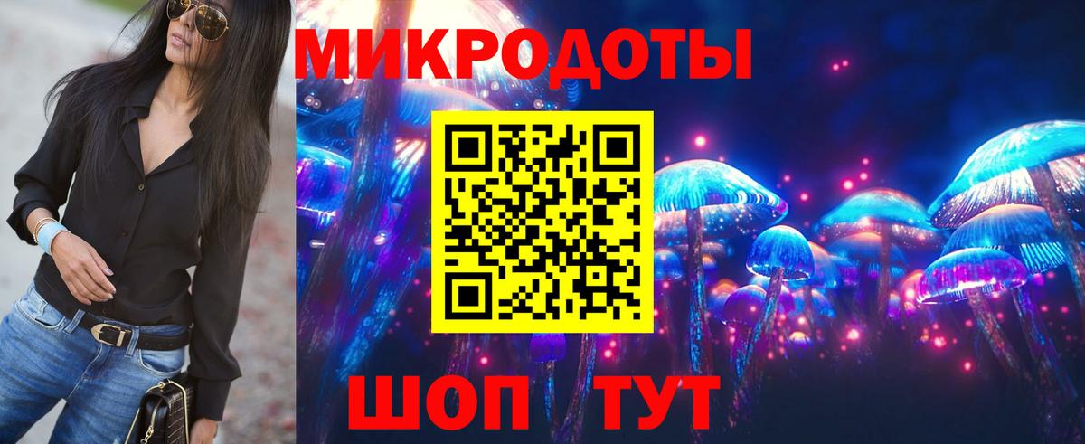 Псилоцибиновые грибы Psilocybe Сибай