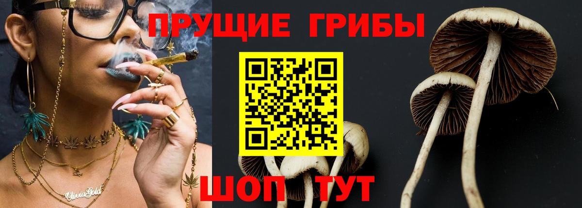 Галлюциногенные грибы Psilocybine cubensis  Вход с VPN  Псилоцибиновые грибы ЛСД  Сибай 